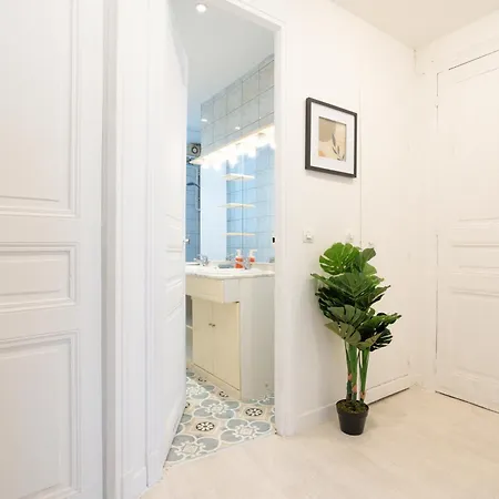 Luxury Parisian Notre Dame Saint Germain Des Pres